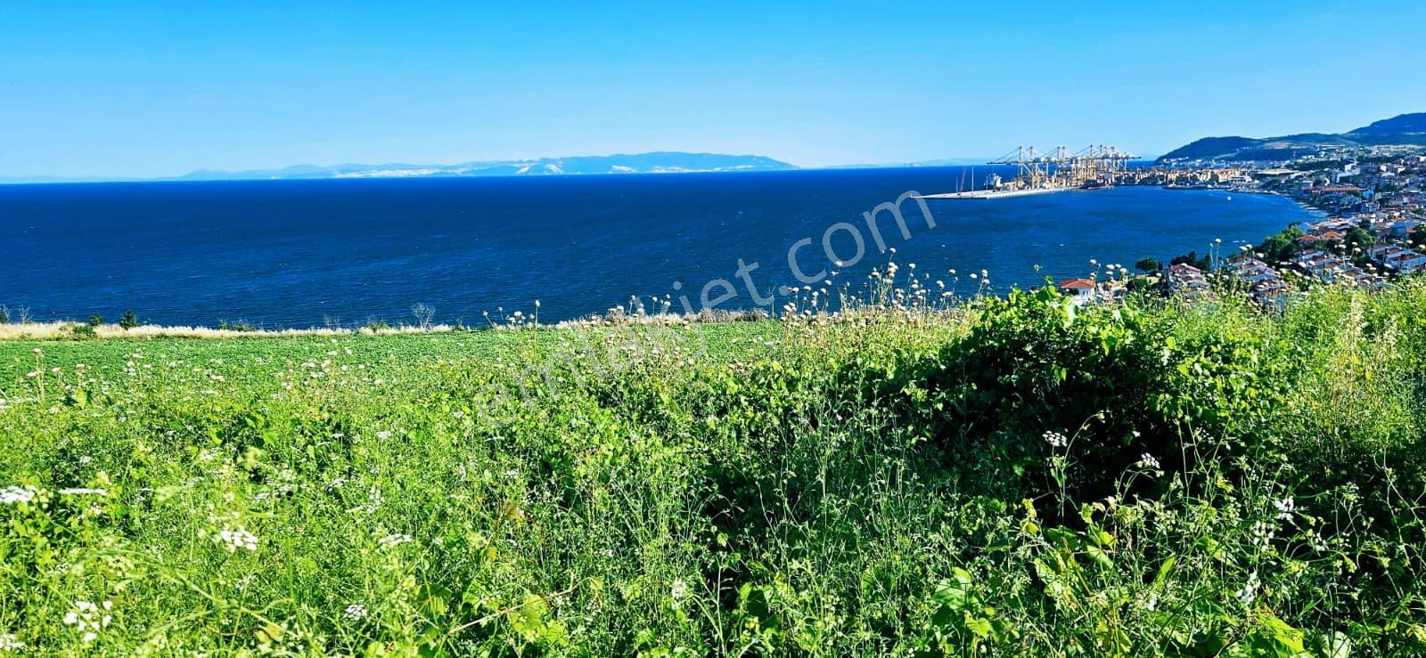 Tekirdağ Barbarosta Full Deniz Manzaralı 15 Adet Lüxs Villa Projesine Uygun Fırsat Özel Arsa - Görsel 10