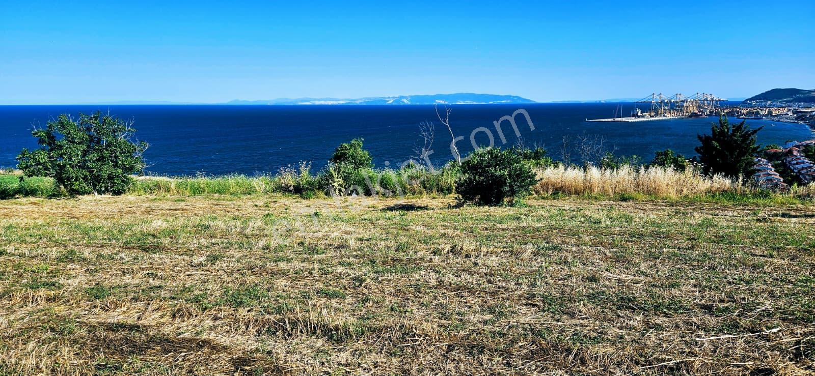 Tekirdağ Barbarosta Full Deniz Manzaralı 15 Adet Lüxs Villa Projesine Uygun Fırsat Özel Arsa - Görsel 19