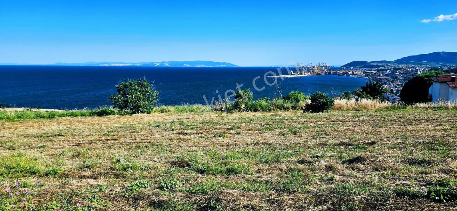 Tekirdağ Barbarosta Full Deniz Manzaralı 15 Adet Lüxs Villa Projesine Uygun Fırsat Özel Arsa - Görsel 24