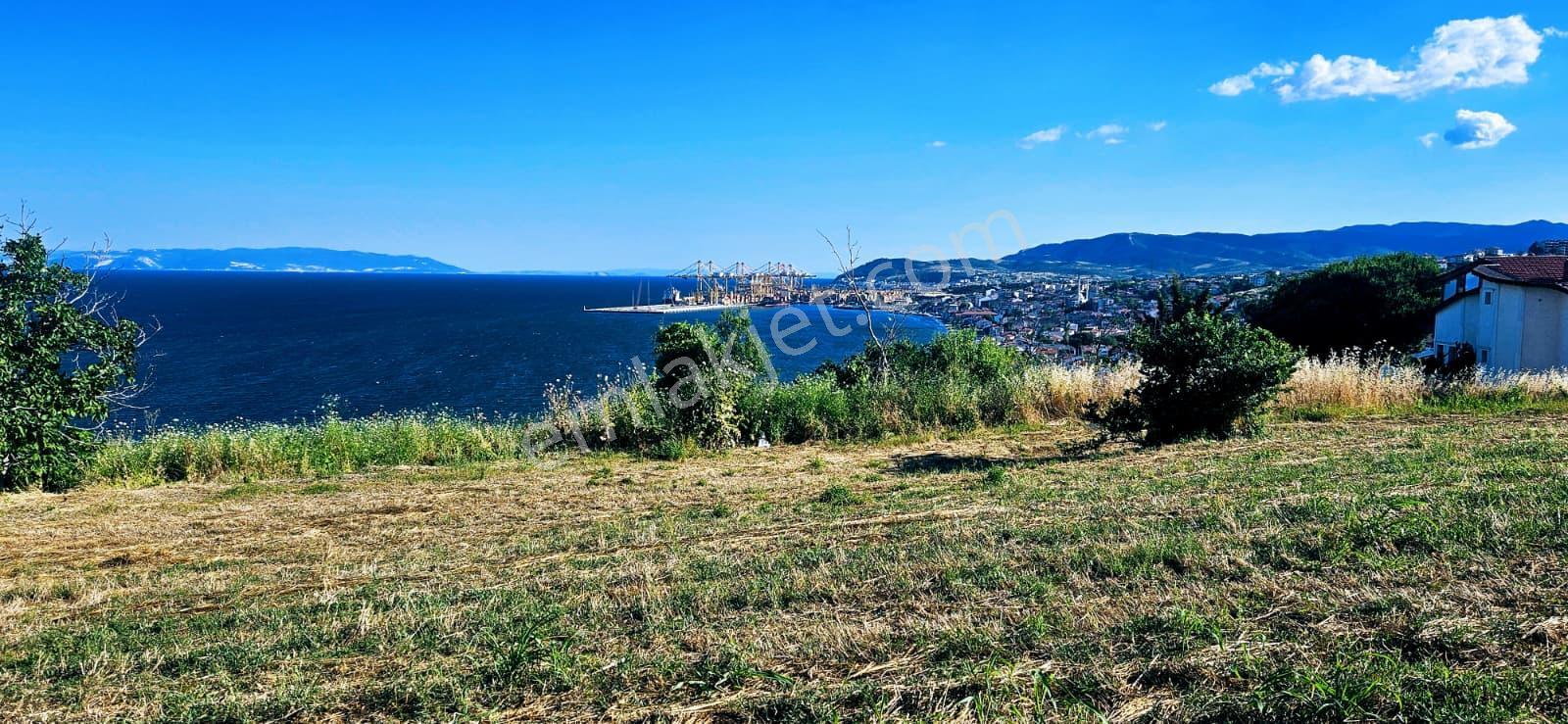 Tekirdağ Barbarosta Full Deniz Manzaralı 15 Adet Lüxs Villa Projesine Uygun Fırsat Özel Arsa - Görsel 5