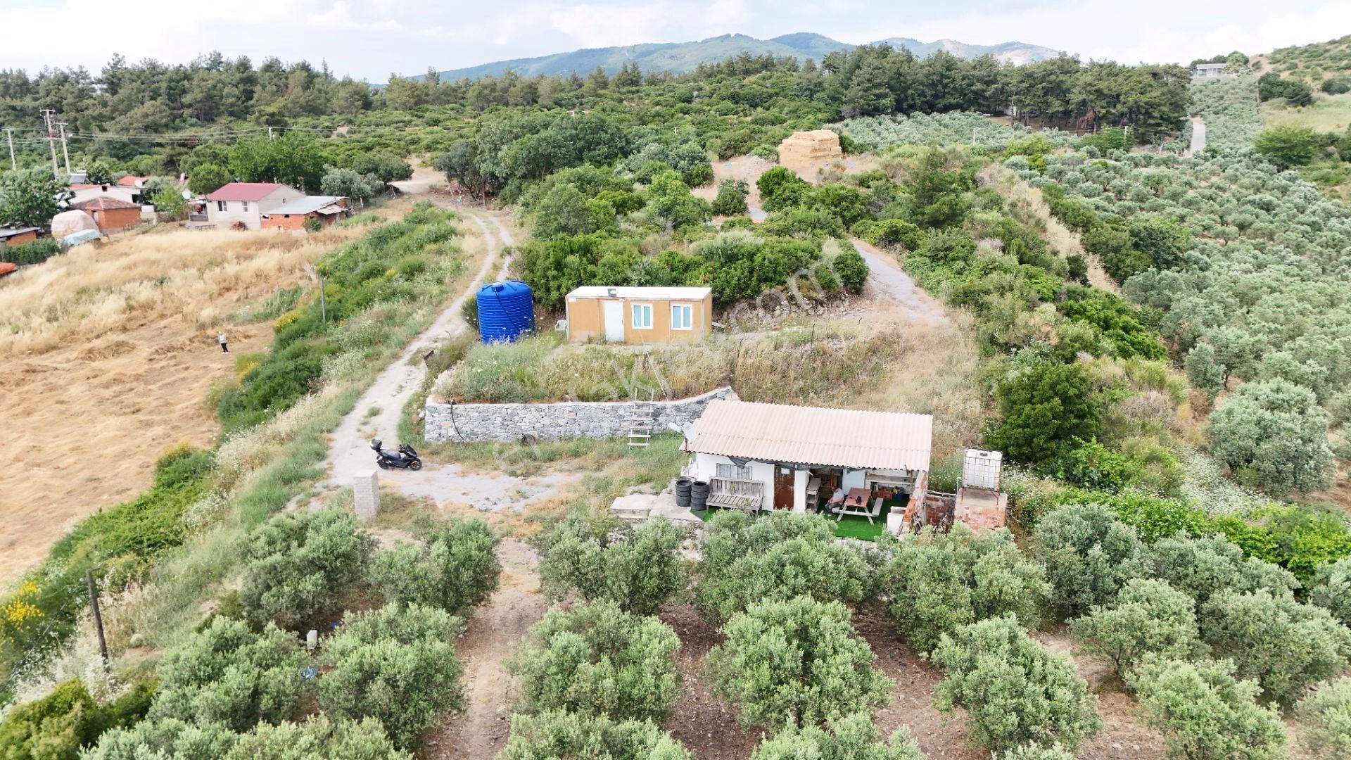 Kuşadası Caferli'de 37.690 M² Tarla - Görsel 2