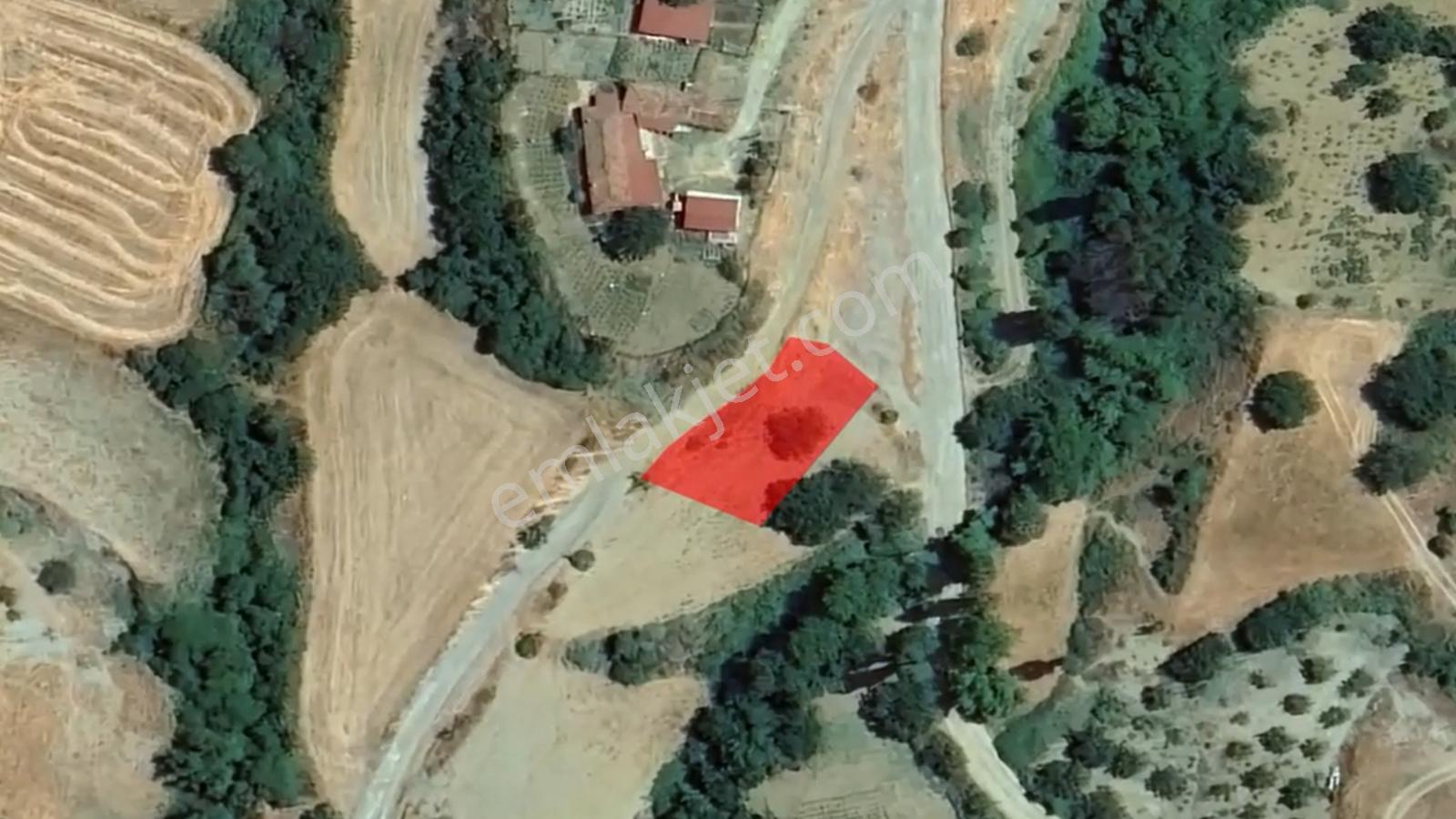 Köyevi Hayeli Olanlar İçin İster Tiny House Yap. İstersen Doğa İçinde Köy Evini Yap Fırsat Arsa - Görsel 4