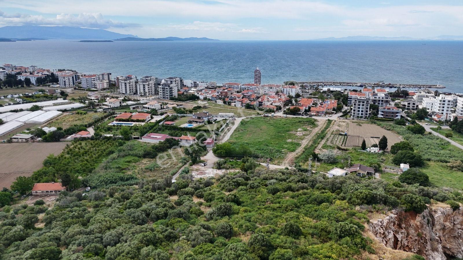 Güzelbahçe Siteler'de 3.386 M² Deniz Yakını Zeytinlik - Görsel 8
