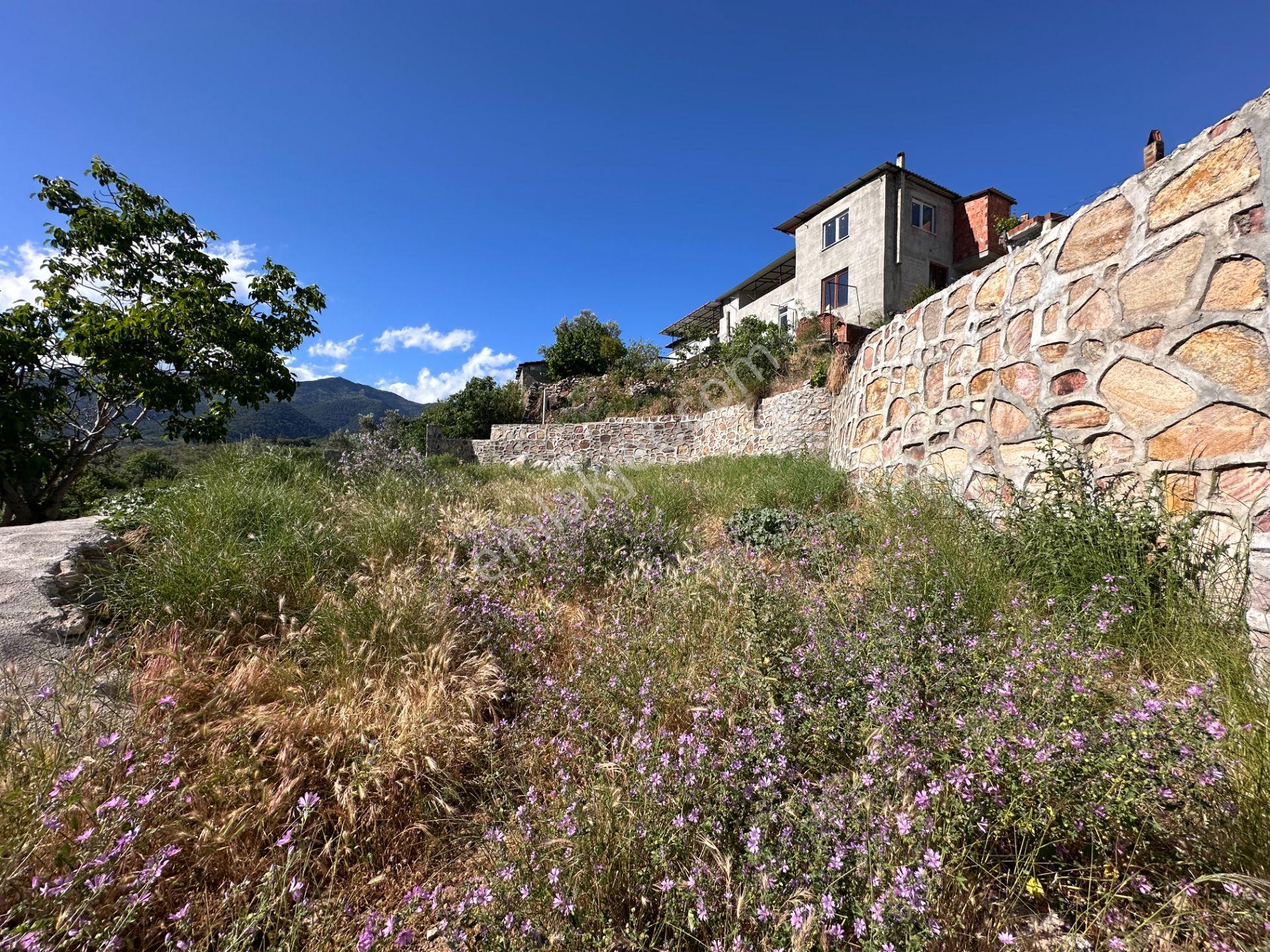 ▀▄mera Emlaktan Dereli Köyü 10 Daire Veya 4 Villalık 482 M2 Arsa - Görsel 14