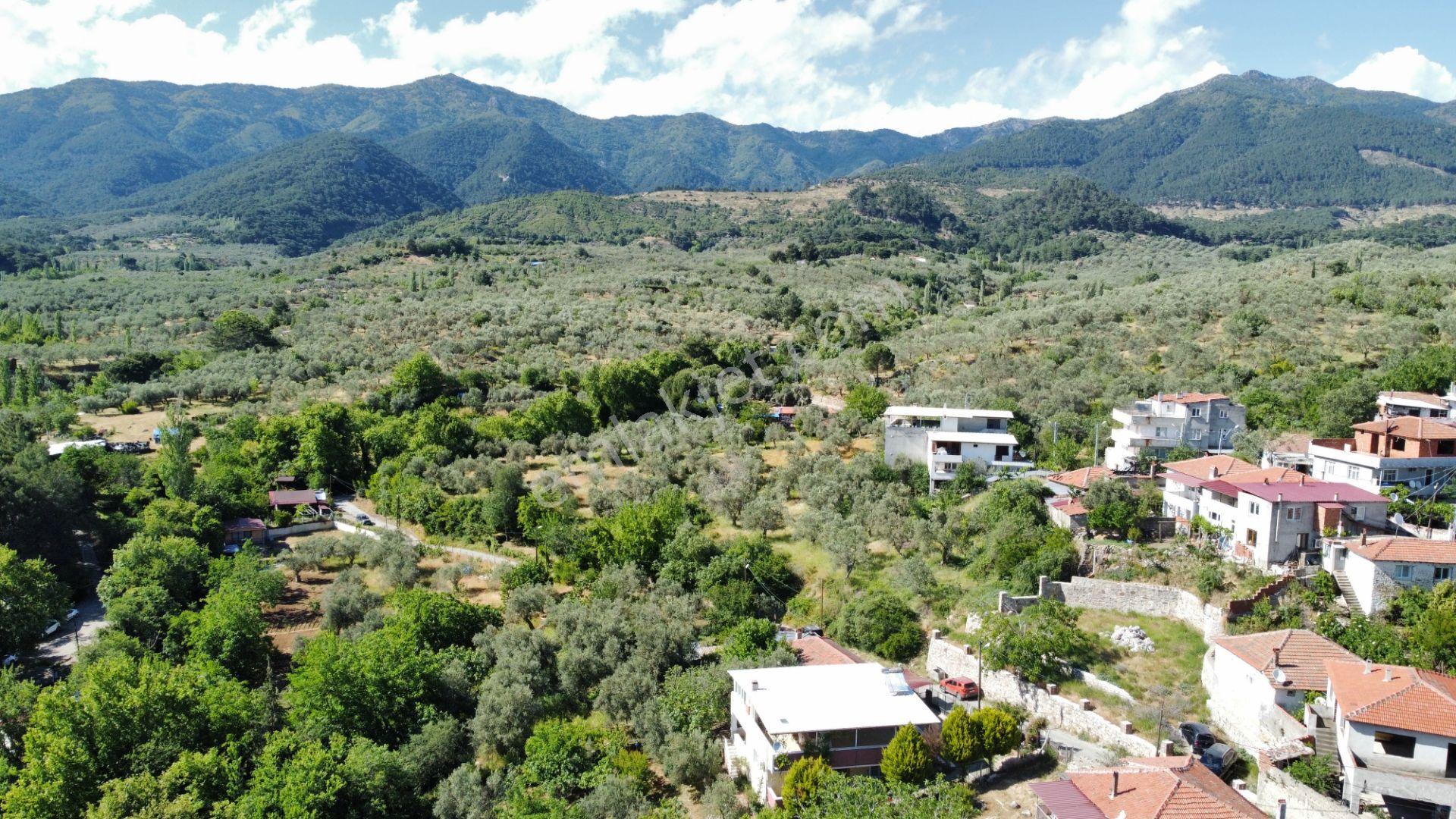 ▀▄mera Emlaktan Dereli Köyü 10 Daire Veya 4 Villalık 482 M2 Arsa - Görsel 24