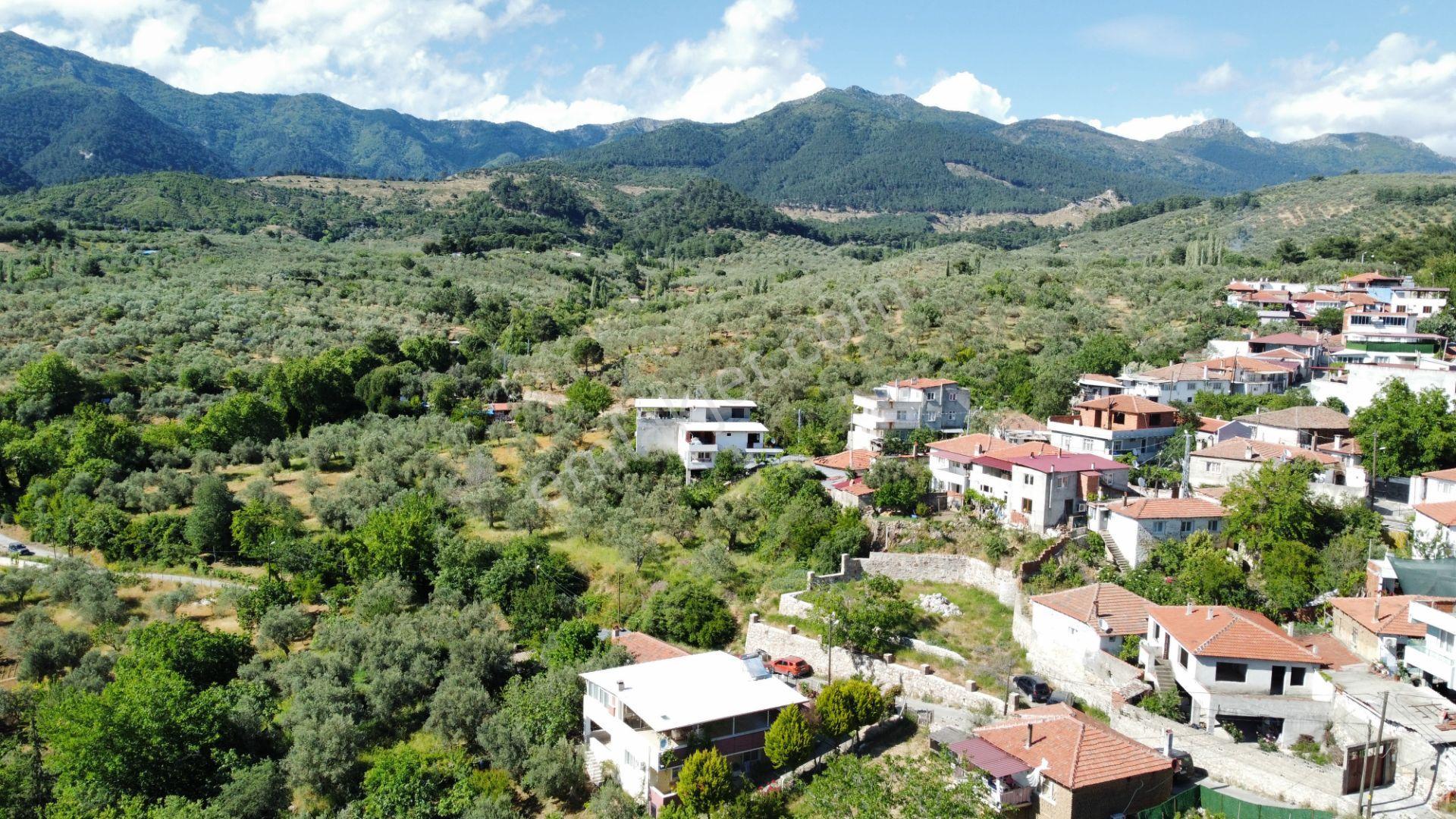 ▀▄mera Emlaktan Dereli Köyü 10 Daire Veya 4 Villalık 482 M2 Arsa - Görsel 23