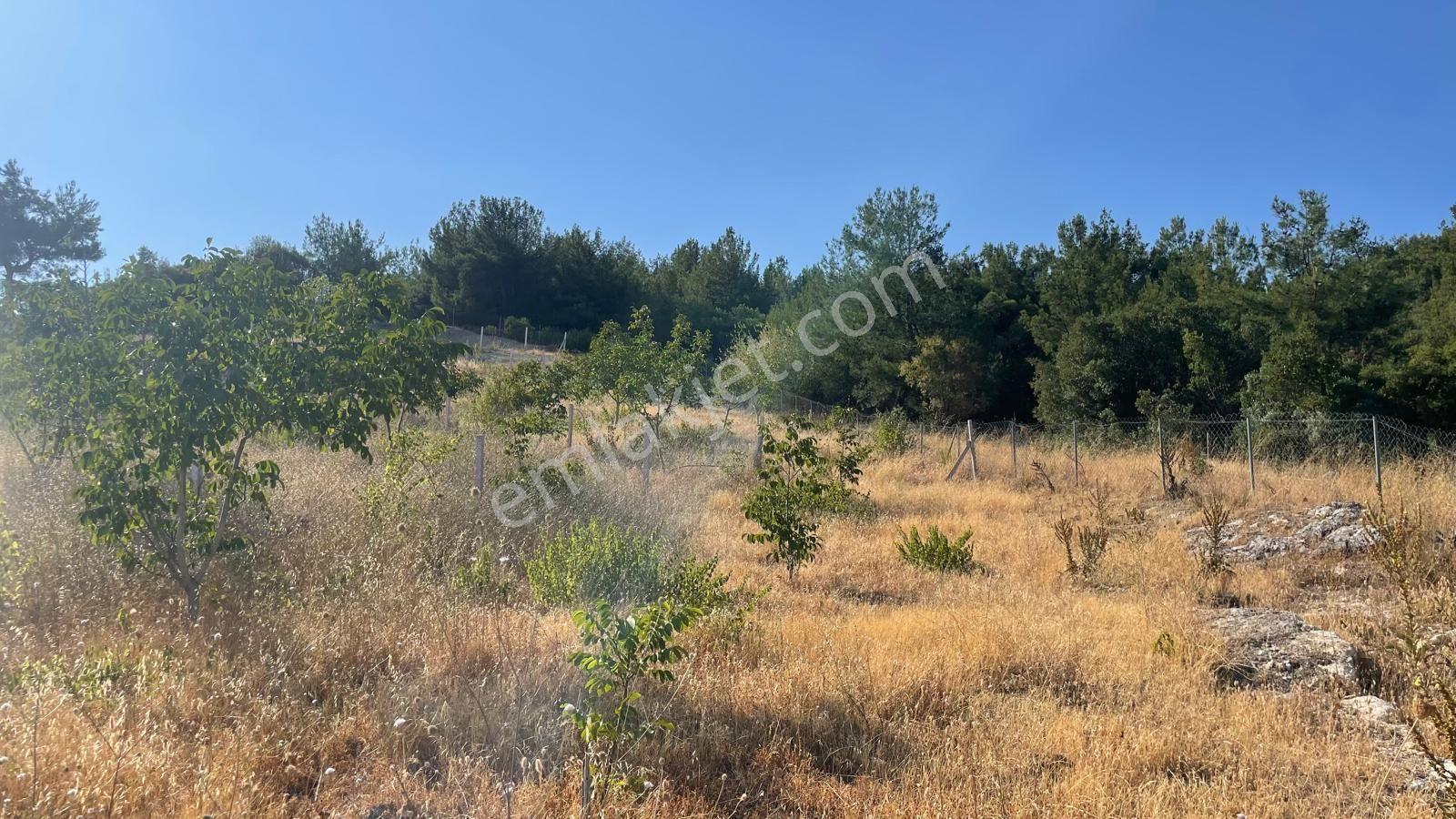 Bornova Yakaköy’de Yatırımlık 315 M2 Satılık Bağ Arsası - Görsel 7