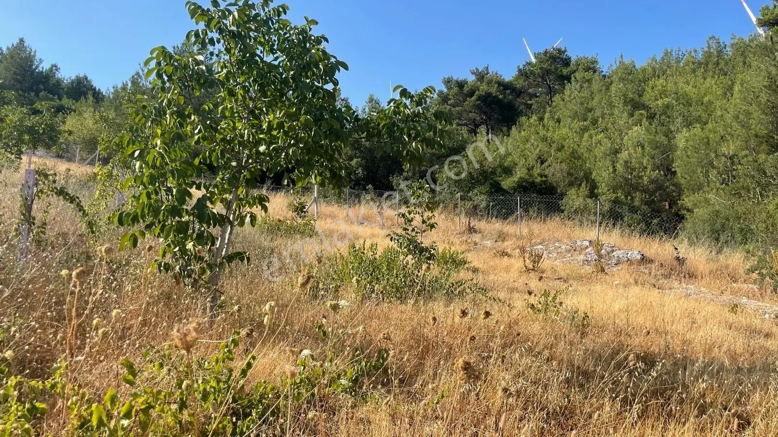 Bornova Yakaköy’de Yatırımlık 315 M2 Satılık Bağ Arsası