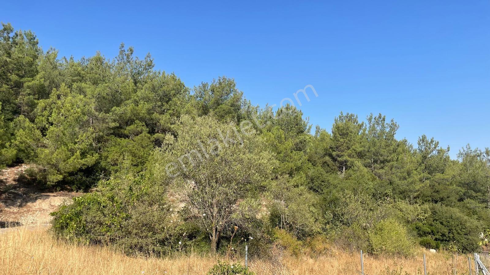 Bornova Yakaköy’de Yatırımlık 315 M2 Satılık Bağ Arsası - Görsel 6