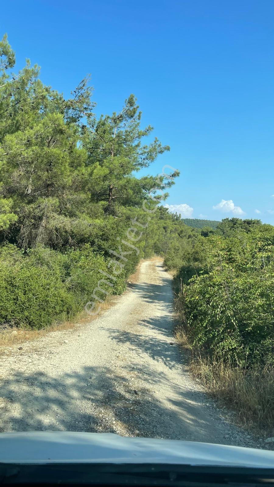 Bornova Yakaköy’de Yatırımlık 315 M2 Satılık Bağ Arsası - Görsel 9