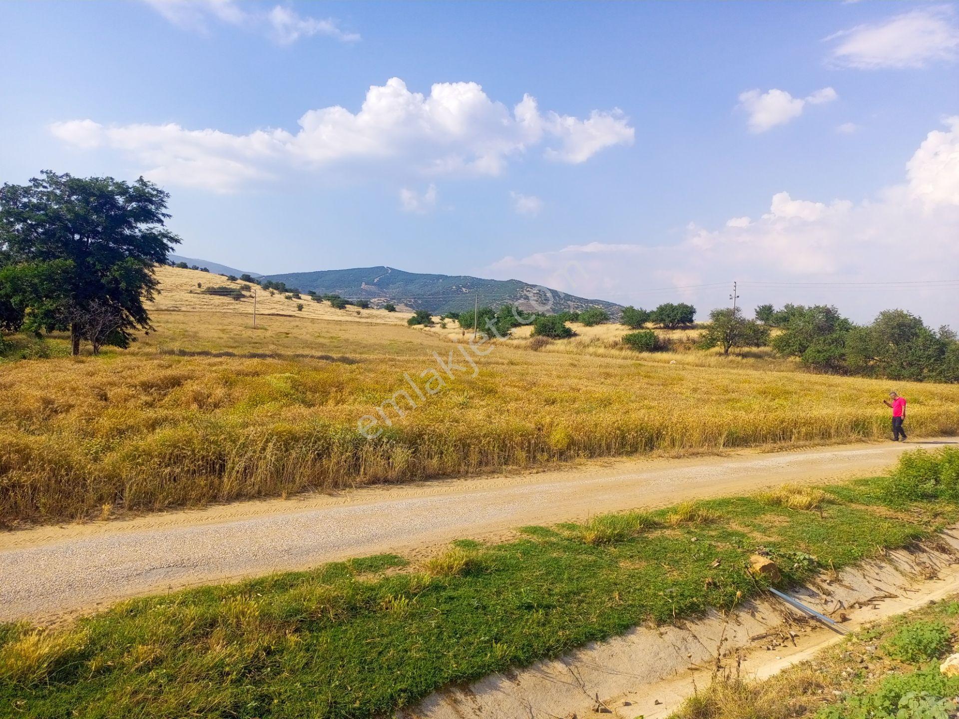 Tire Derebaşı Asfalt Yol Cepheli Köy Merkezine Yakın Tek Tapu 17.400m2 Arazimiz Satılıktır - Görsel 11