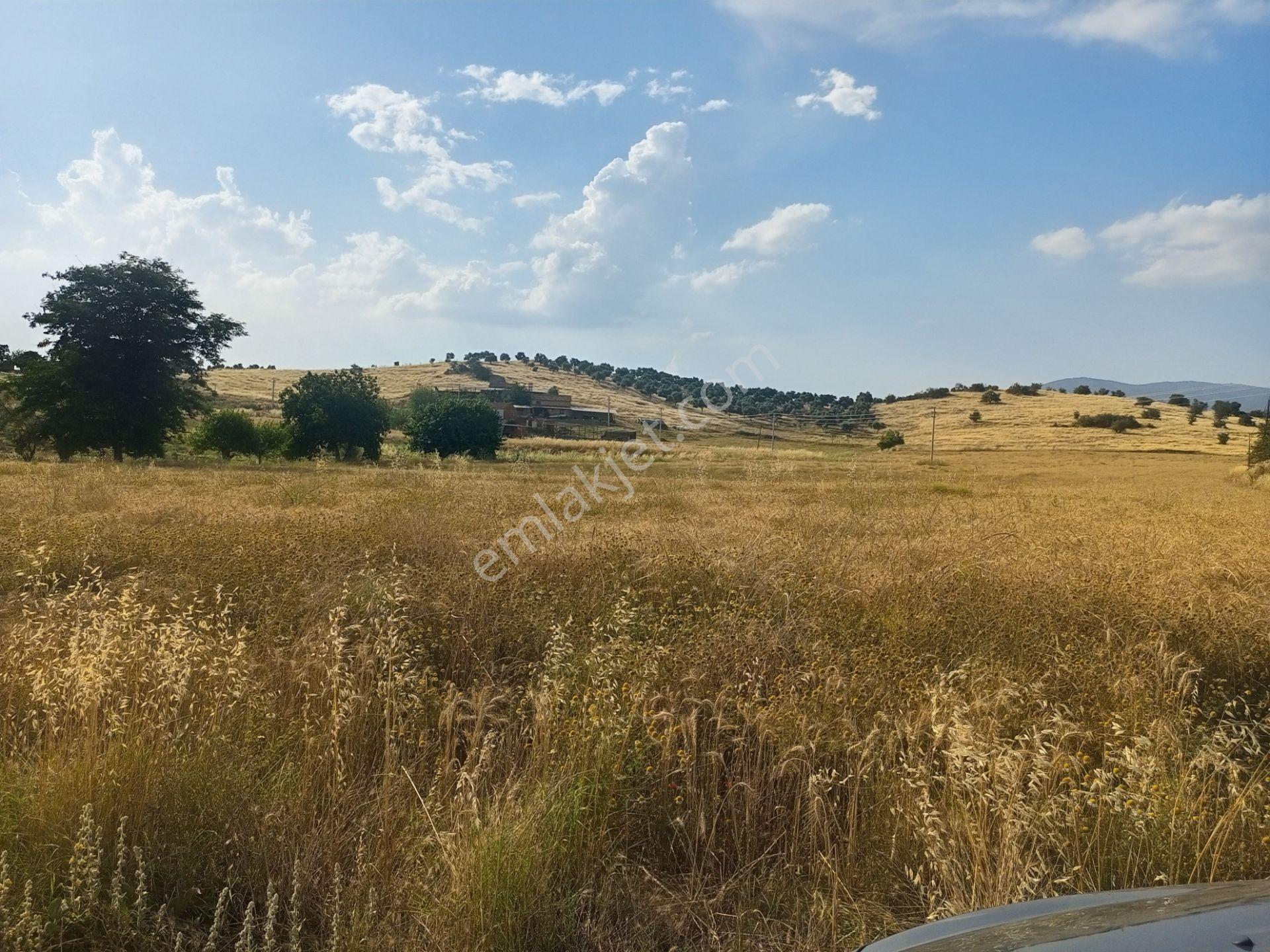 Tire Derebaşı Asfalt Yol Cepheli Köy Merkezine Yakın Tek Tapu 17.400m2 Arazimiz Satılıktır - Görsel 8