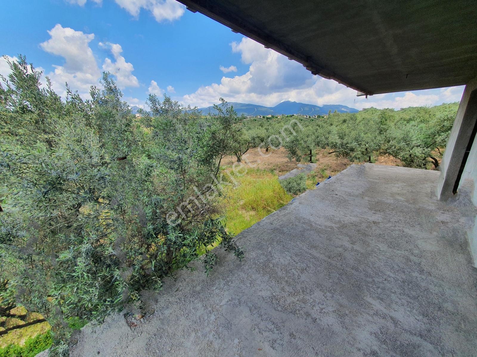 Belenbaşı'nda Doğayla İç İçe Yaşam Fırsatı 690m2 Müstakil Tapu - Görsel 15
