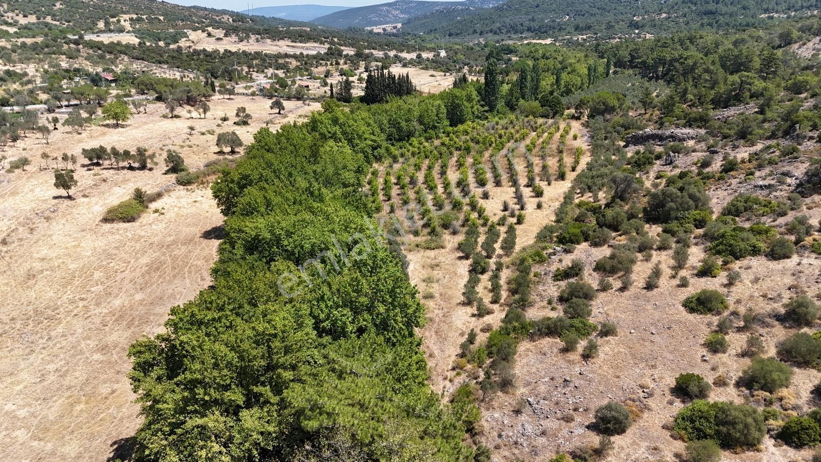 Dere Kenarında, Resmi Yolu Olan Saklı Bahçe