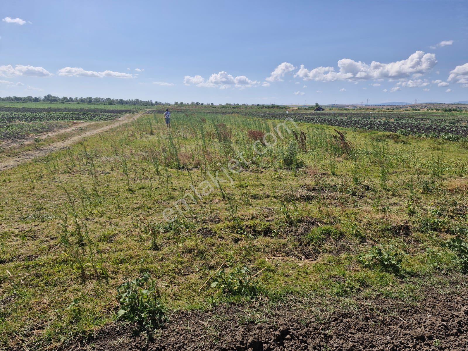 Bandırma Kuscennetinide 930 M Yola Cepheli Tarla - Görsel 2