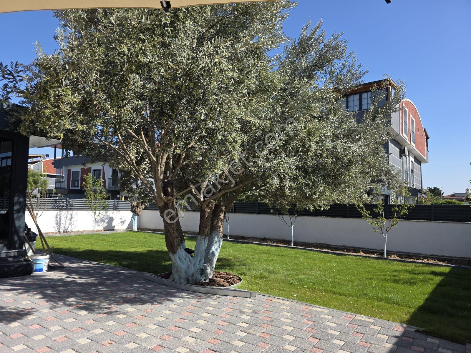 Gölcükler Mah. 3 Katlı Full Tadilatlı Villa - Görsel 31