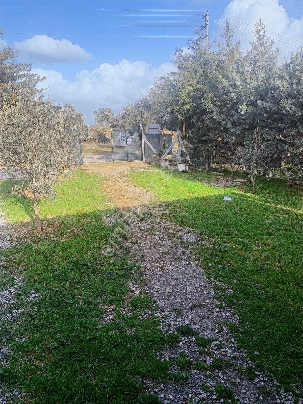 Didim Zümrüttepede Satılık Arsa - Görsel 2