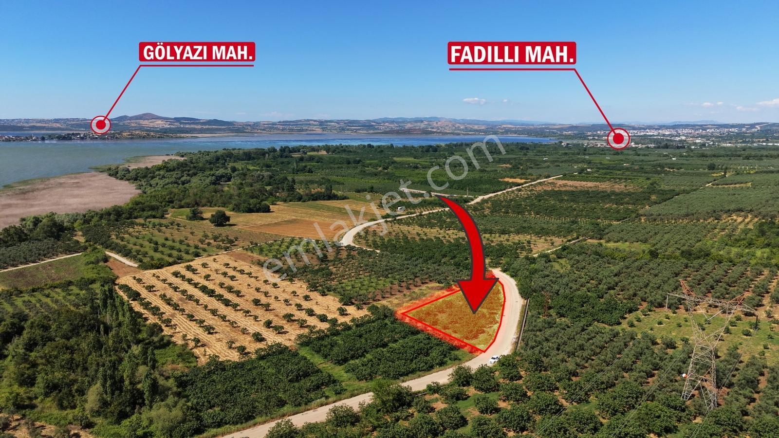 Fadıllı 1.100m² Göl Manzaralı Asfalta Cephe İncir Bahçesi - Görsel 4