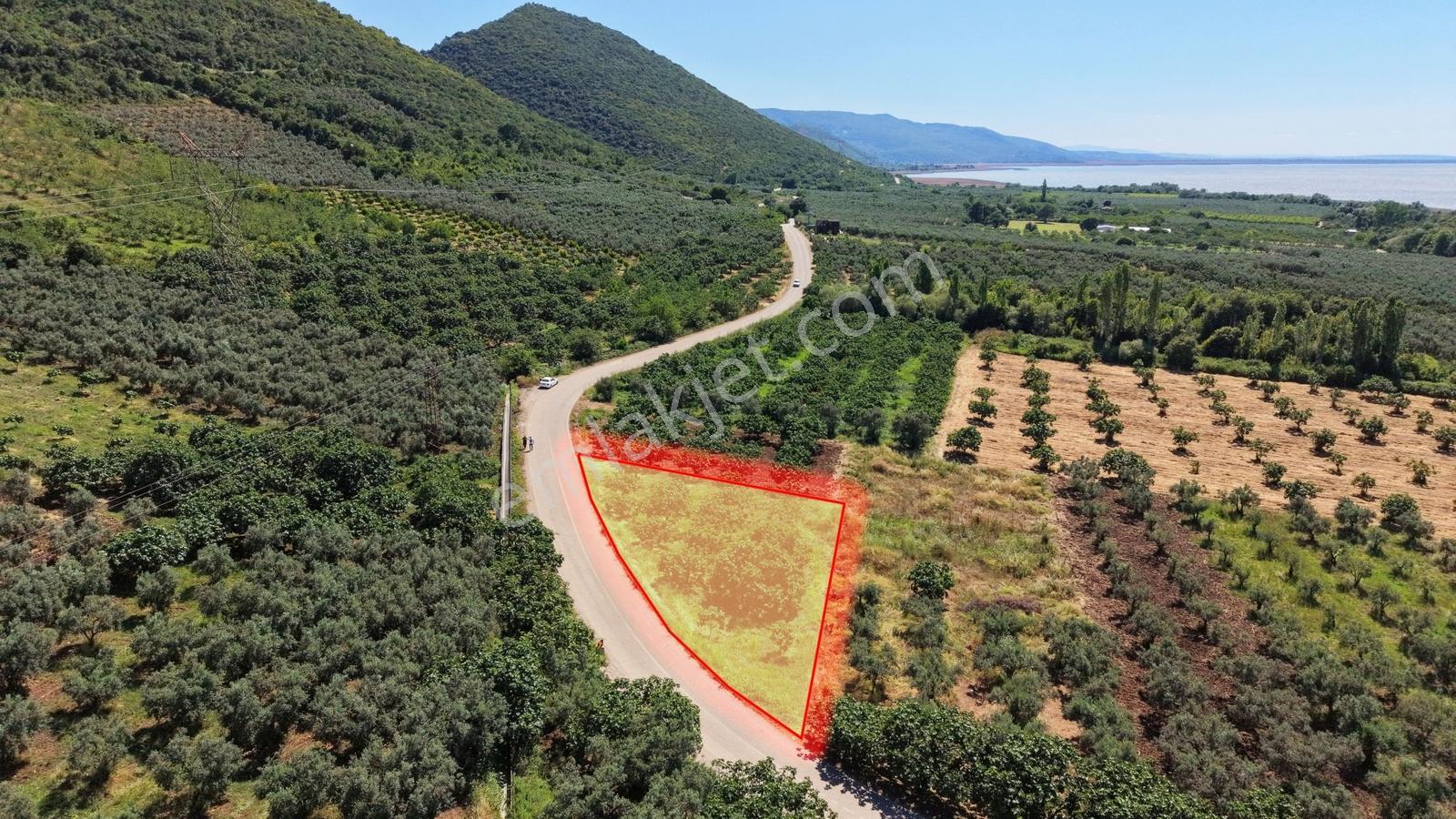 Fadıllı 1.100m² Göl Manzaralı Asfalta Cephe İncir Bahçesi - Görsel 2
