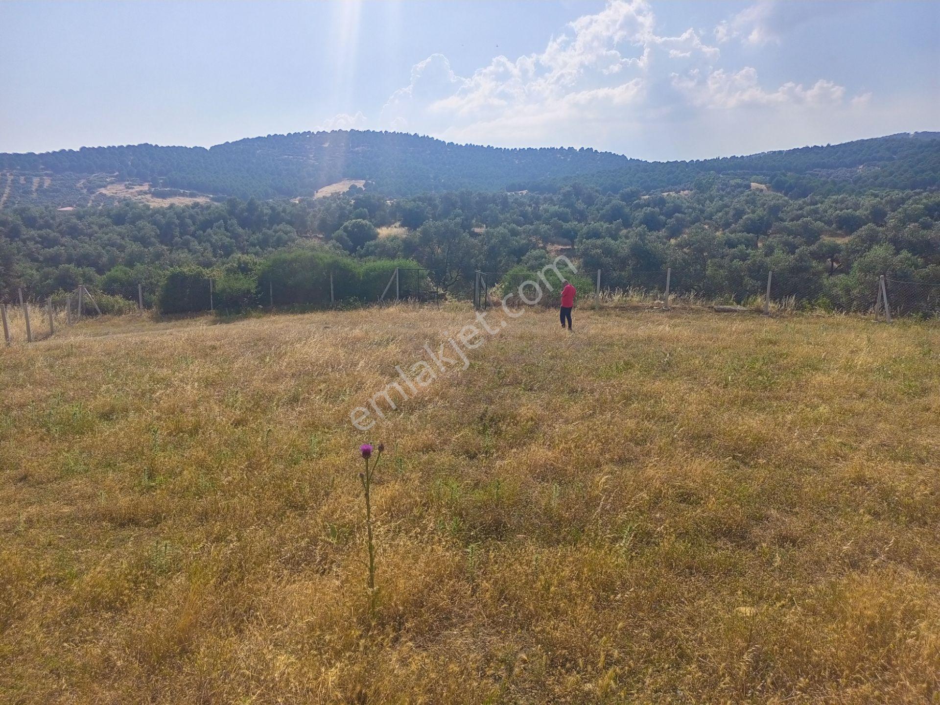 Tire Derebaşı Asfalt Yol Cepheli Köy Merkezine Yakın 926m2 Arazimiz Satılıktır - Görsel 16