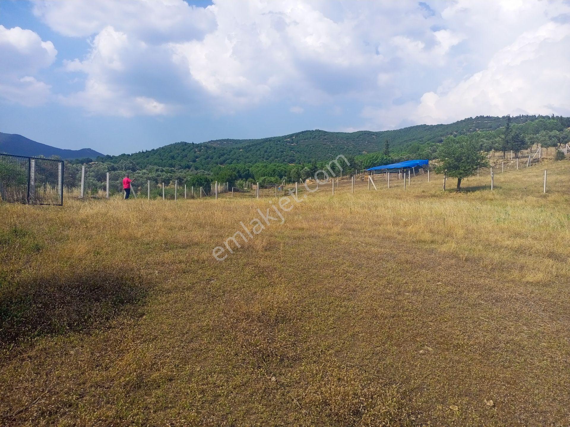 Tire Derebaşı Asfalt Yol Cepheli Köy Merkezine Yakın 926m2 Arazimiz Satılıktır - Görsel 14