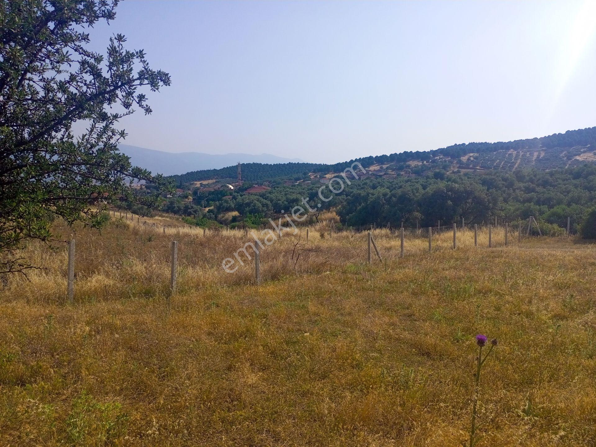 Tire Derebaşı Asfalt Yol Cepheli Köy Merkezine Yakın 926m2 Arazimiz Satılıktır - Görsel 19