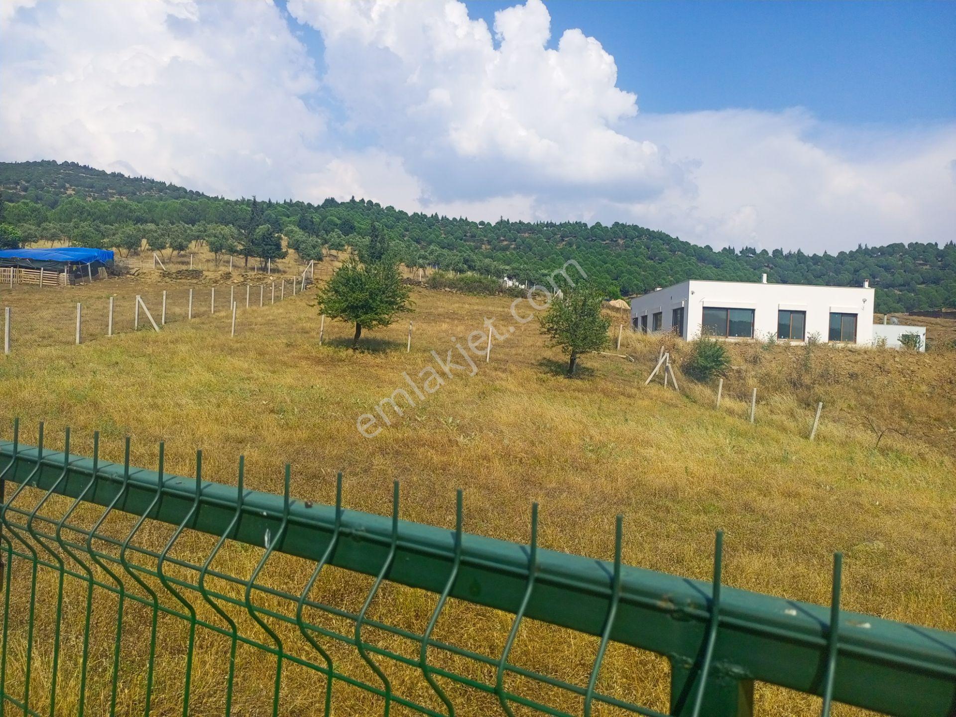 Tire Derebaşı Asfalt Yol Cepheli Köy Merkezine Yakın 926m2 Arazimiz Satılıktır - Görsel 9