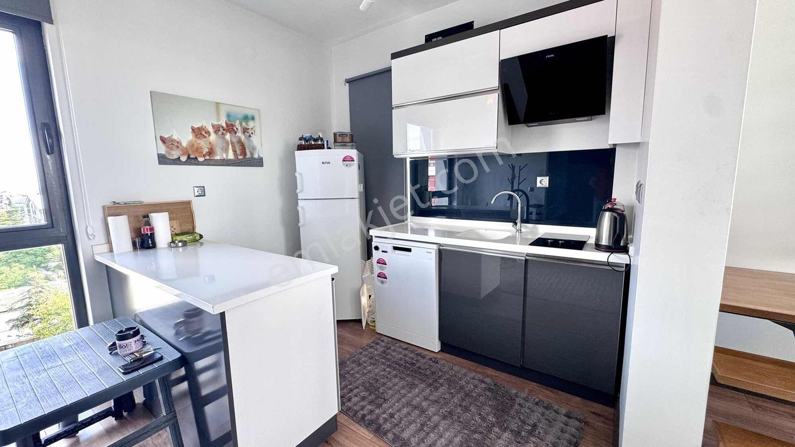 Ankaranın Yükselen Değeri Kızılcaşarda Satılık 1+1 Loft Daire - Görsel 2