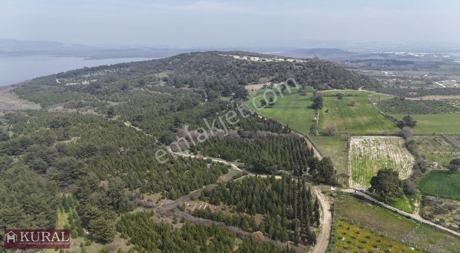 İzmir Menderes Değirmenderede 300 M2 Noter Satışlı Elektrik Su - Görsel 17
