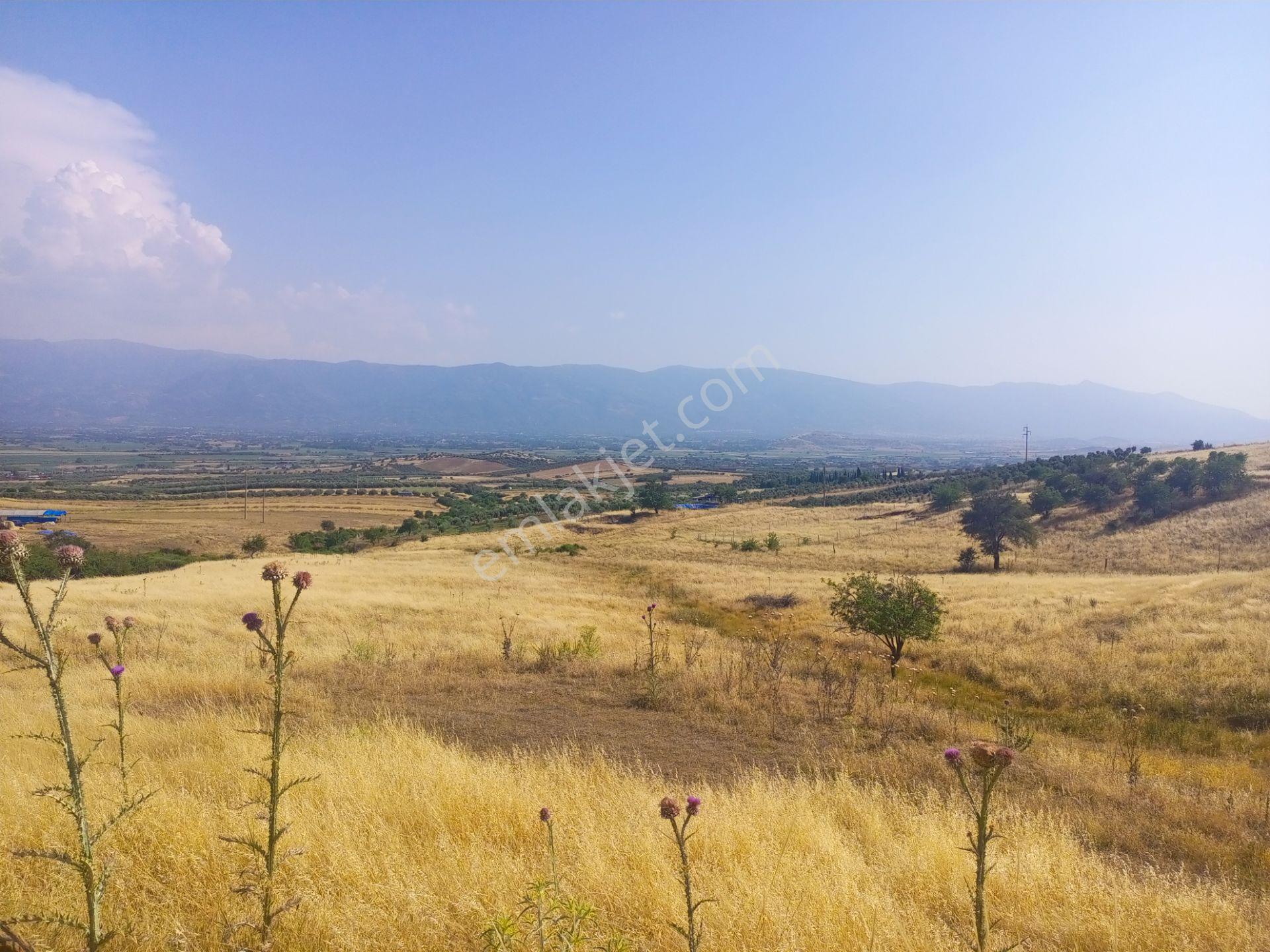 Bu Fiyata Ancak Burası Olur. Tek Tapu Müstakil Parsel 13800m2 Arazimiz Satılıktır - Görsel 5