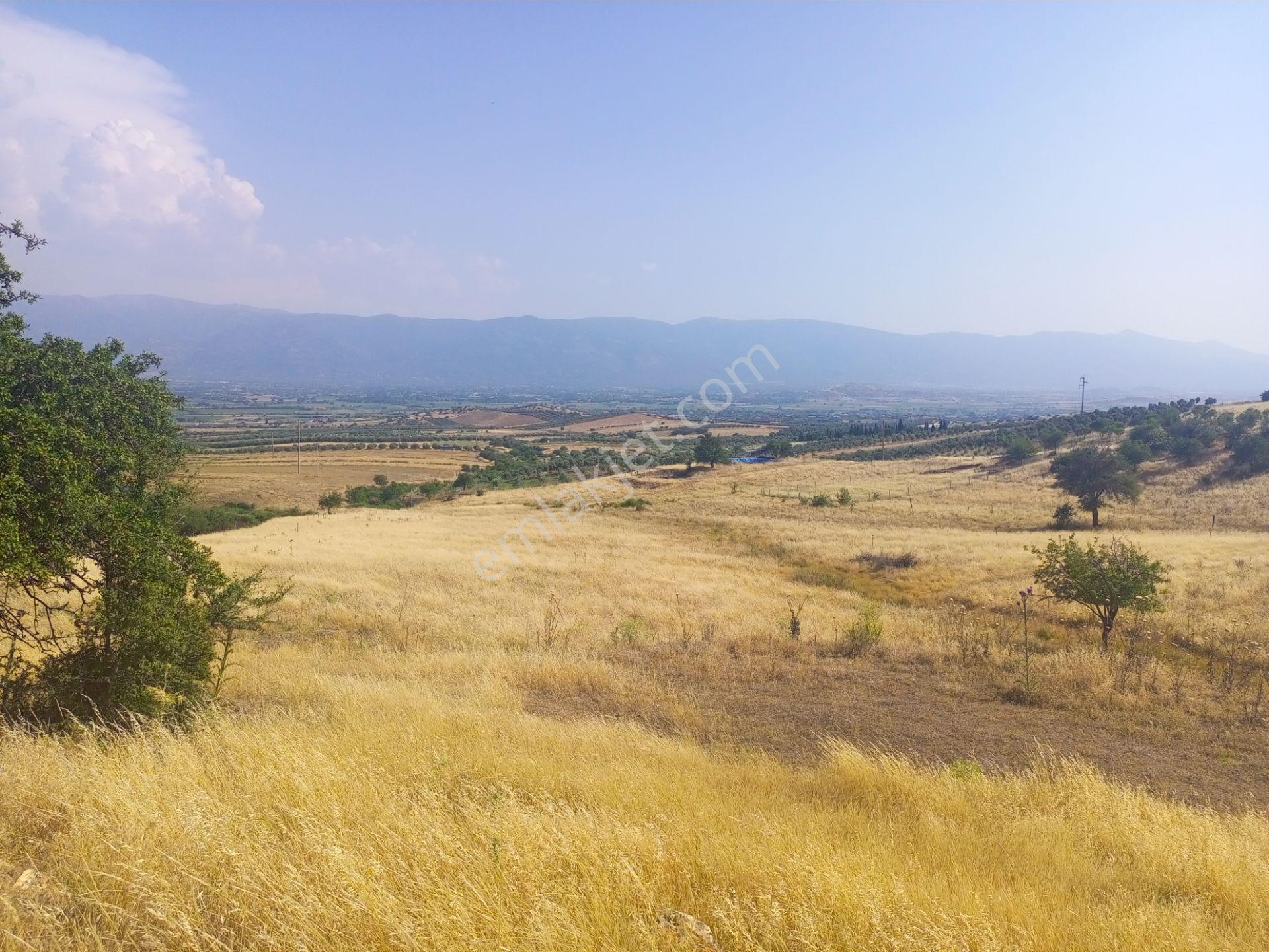 Bu Fiyata Ancak Burası Olur. Tek Tapu Müstakil Parsel 13800m2 Arazimiz Satılıktır