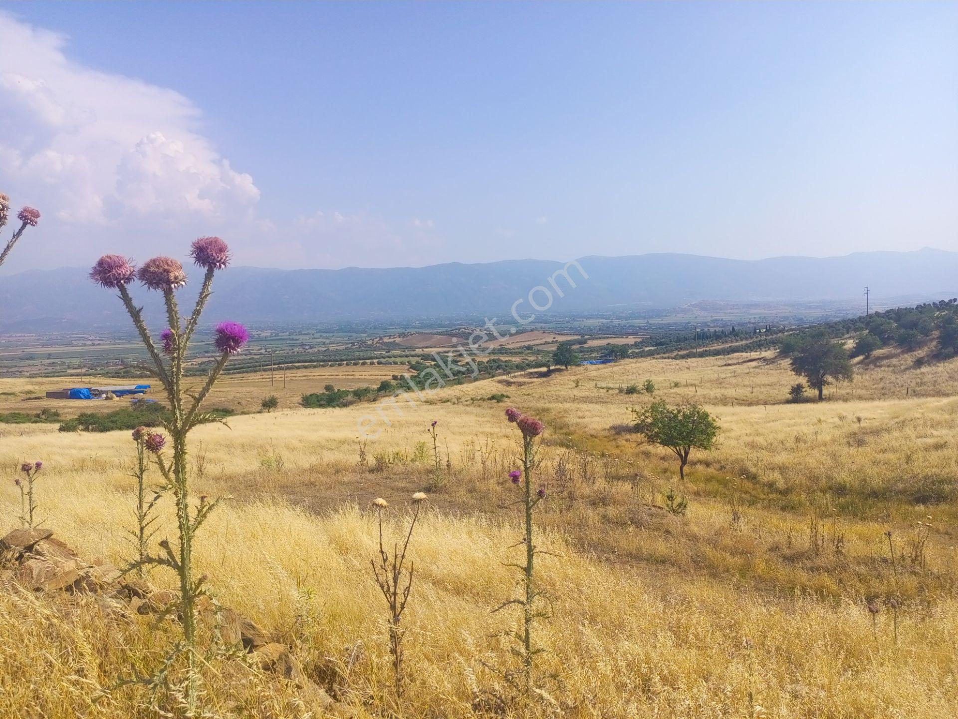 Bu Fiyata Ancak Burası Olur. Tek Tapu Müstakil Parsel 13800m2 Arazimiz Satılıktır - Görsel 6
