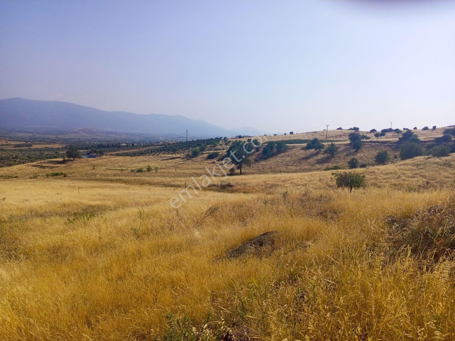 Bu Fiyata Ancak Burası Olur. Tek Tapu Müstakil Parsel 13800m2 Arazimiz Satılıktır - Görsel 9