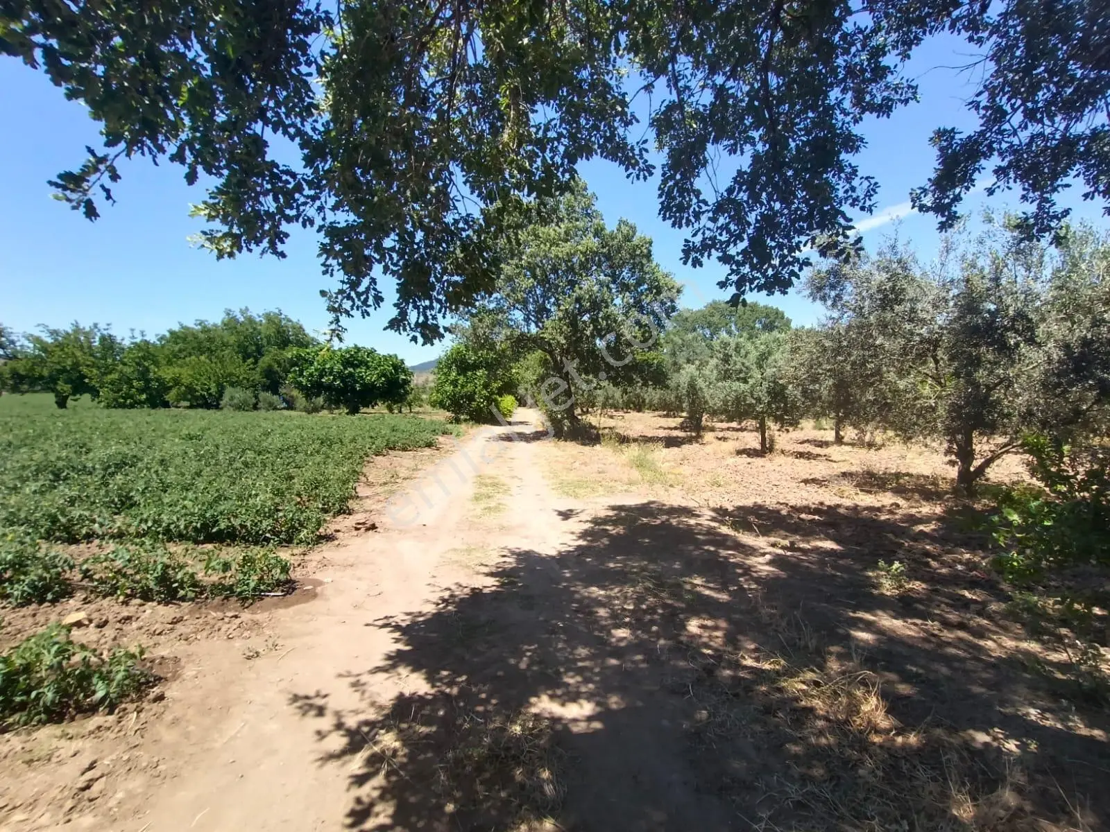 Göçbeyli'de Yola Cepheli 1200 M2 Hobi Bahçesi