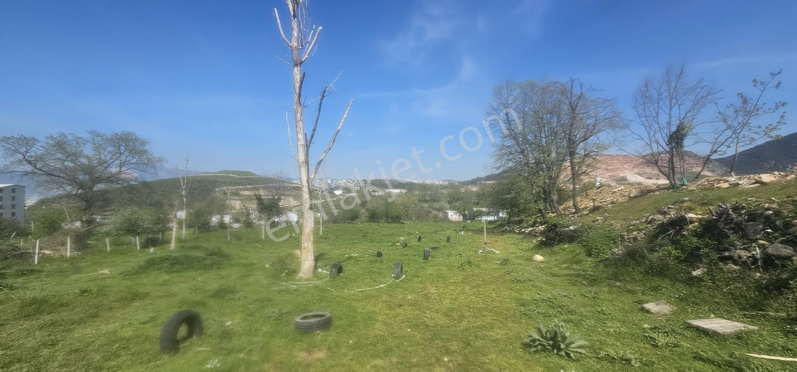 Bursa Yıldırım Değirmenönün De Satılık 3.853m2 Bahçe... - Görsel 2