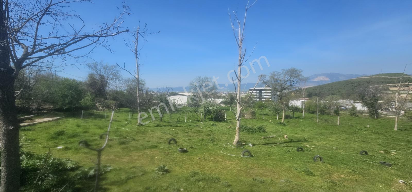 Bursa Yıldırım Değirmenönün De Satılık 3.853m2 Bahçe...