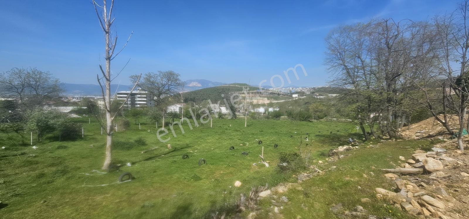 Bursa Yıldırım Değirmenönün De Satılık 3.853m2 Bahçe... - Görsel 20