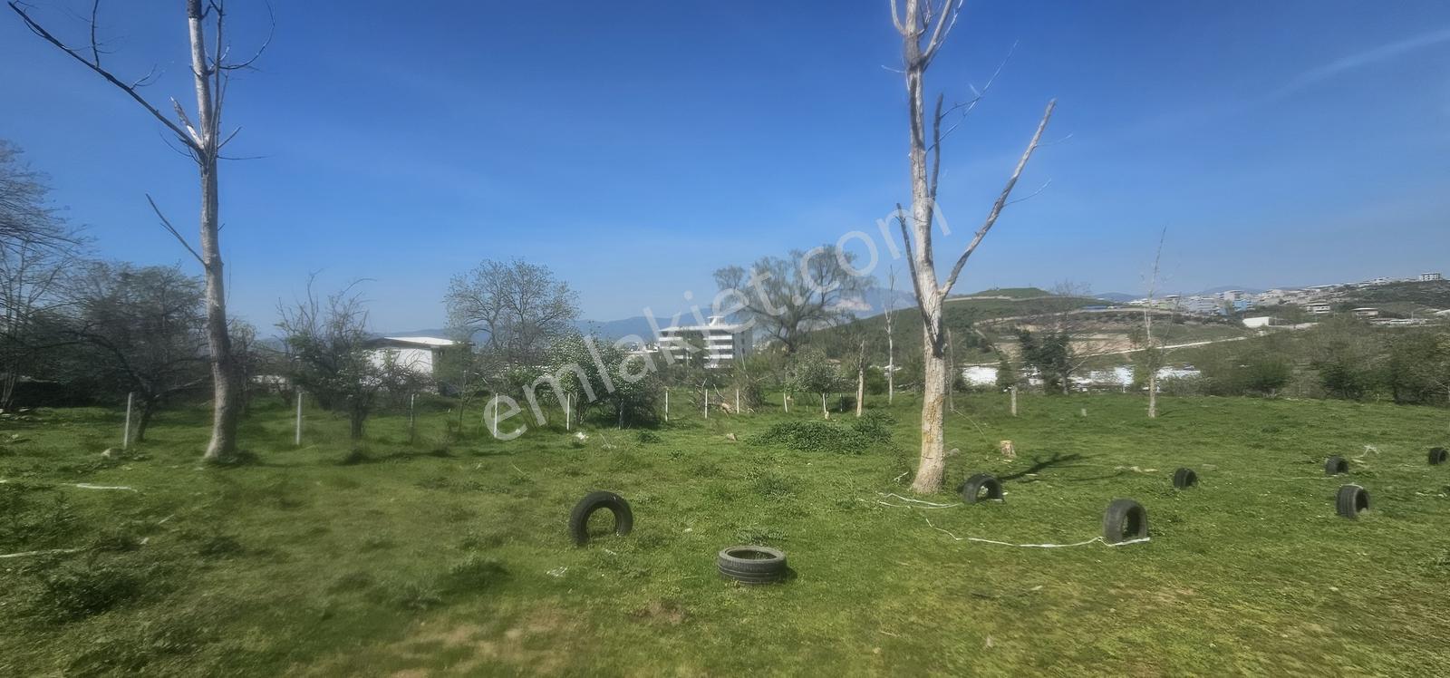 Bursa Yıldırım Değirmenönün De Satılık 3.853m2 Bahçe... - Görsel 3