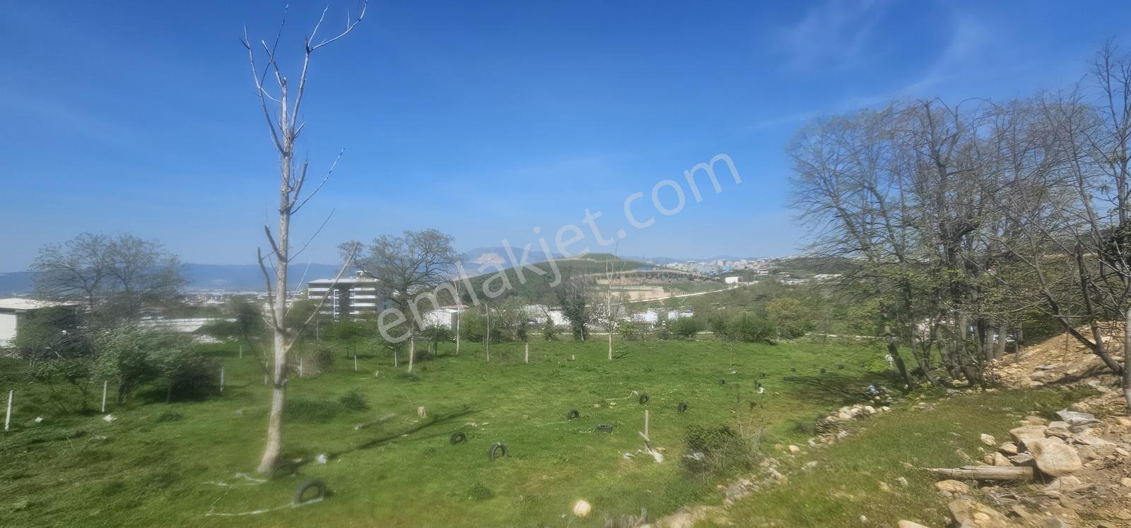 Bursa Yıldırım Değirmenönün De Satılık 3.853m2 Bahçe... - Görsel 10