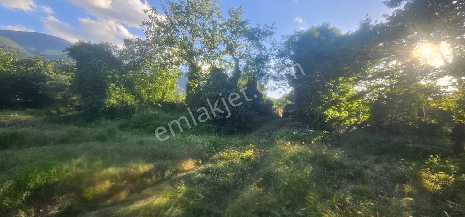 Bursa Yıldırım Cumalıkızıkta Satılık 1.481m2 Bahçe... - Görsel 15