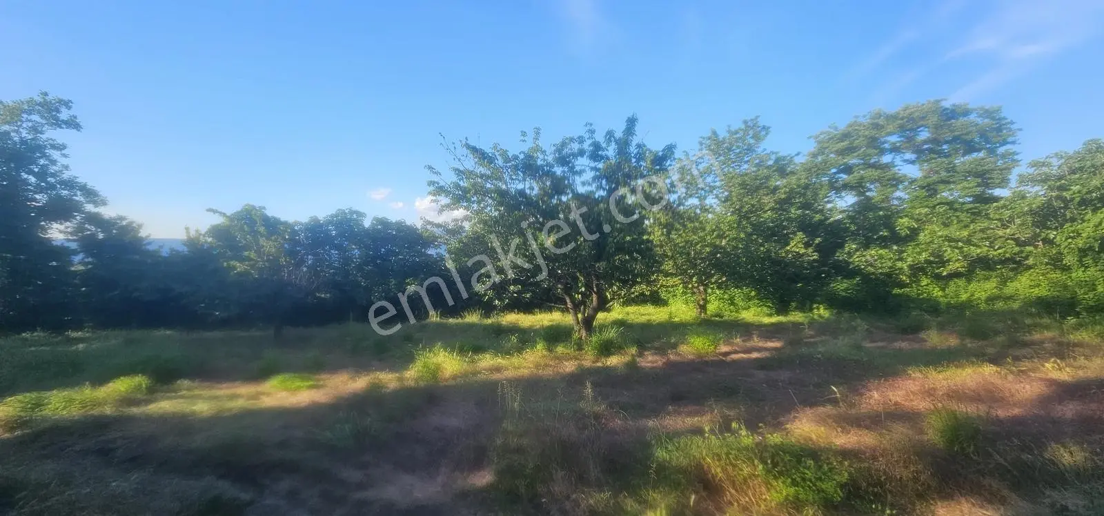 Bursa Yıldırım Cumalıkızıkta Satılık 1.481m2 Bahçe... - Görsel 2