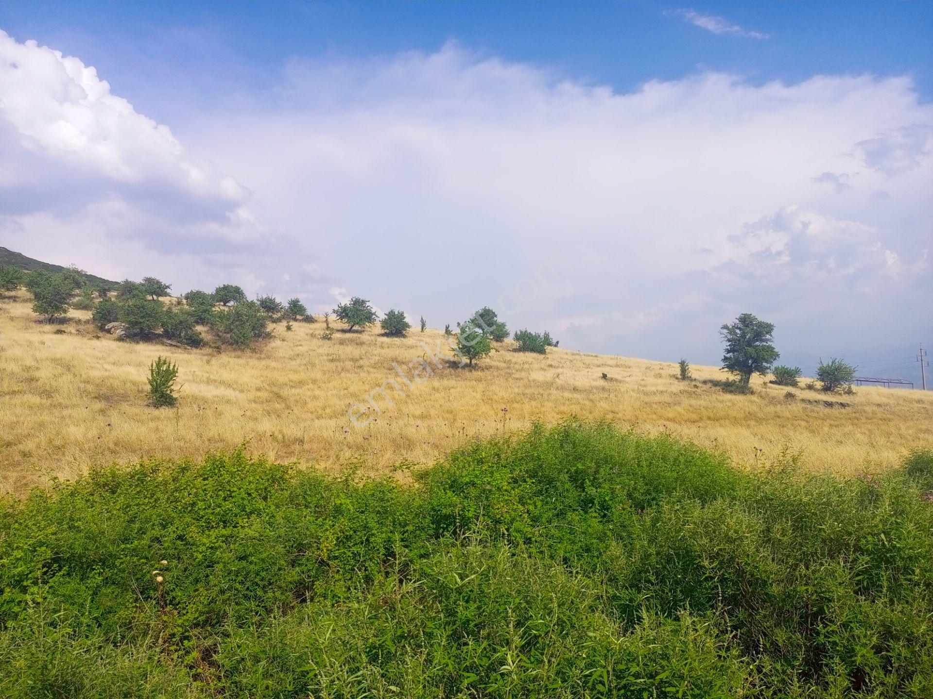 Tire Derebaşında Tek Tapu Müstakil Parsel 3761m2 Arazimiz Satılıktır. - Görsel 6