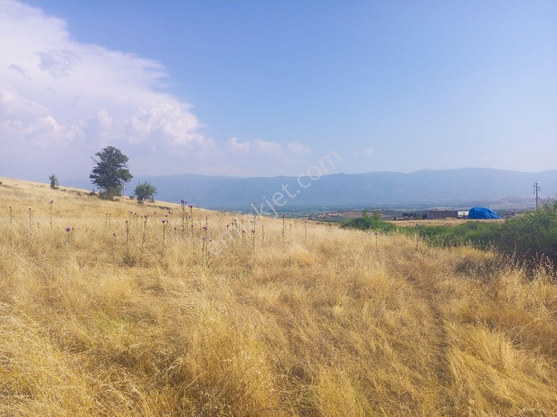 Tire Derebaşında Tek Tapu Müstakil Parsel 3761m2 Arazimiz Satılıktır. - Görsel 7
