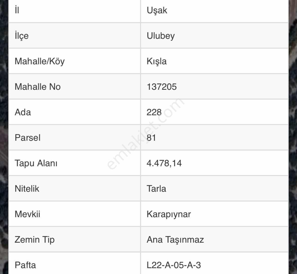 Favori'den Ulubey Kışla'da Müstakil 4478 M2 Kelepir - Görsel 16