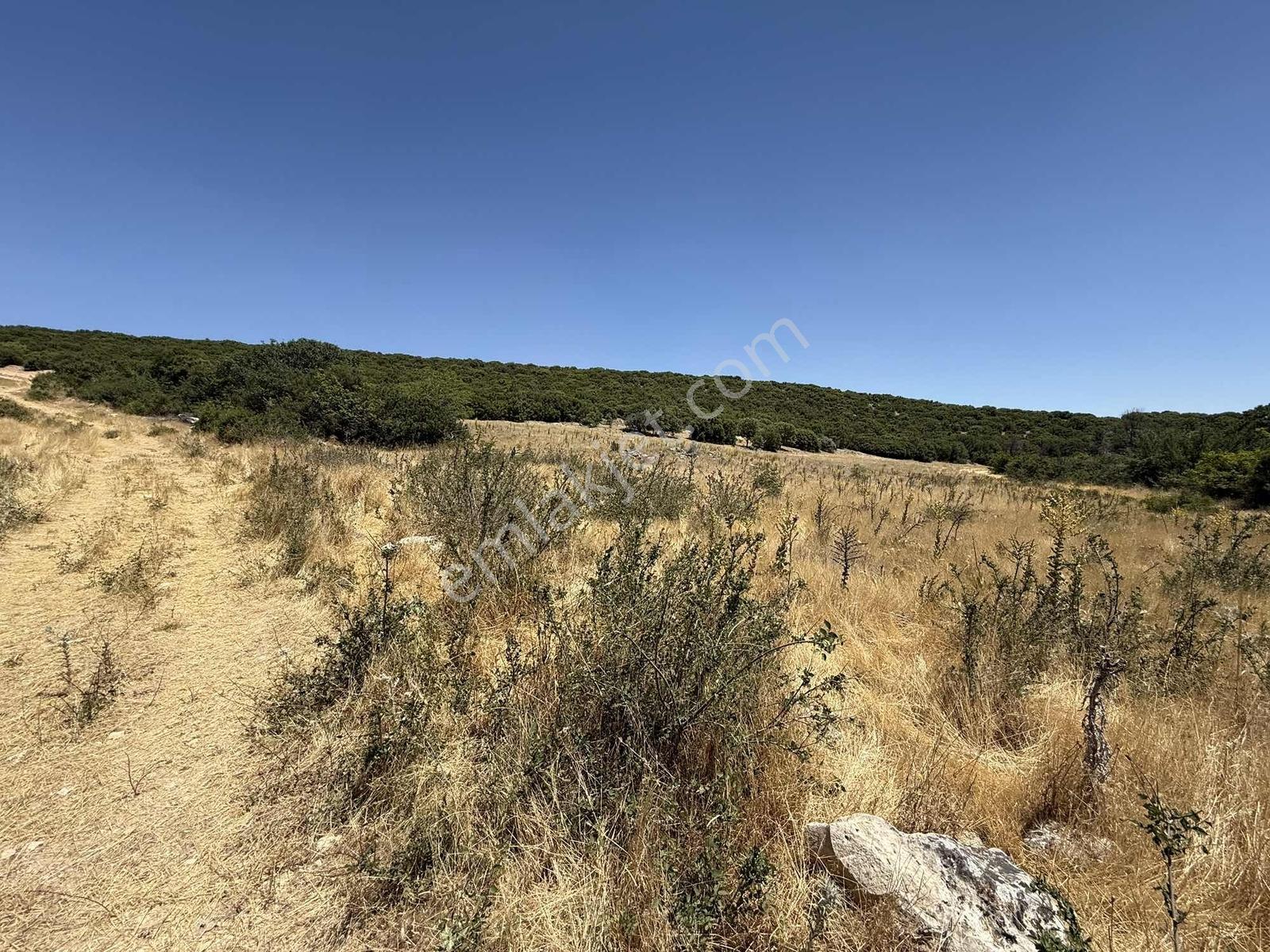 Favori'den Ulubey Kışla'da Müstakil 4478 M2 Kelepir - Görsel 30