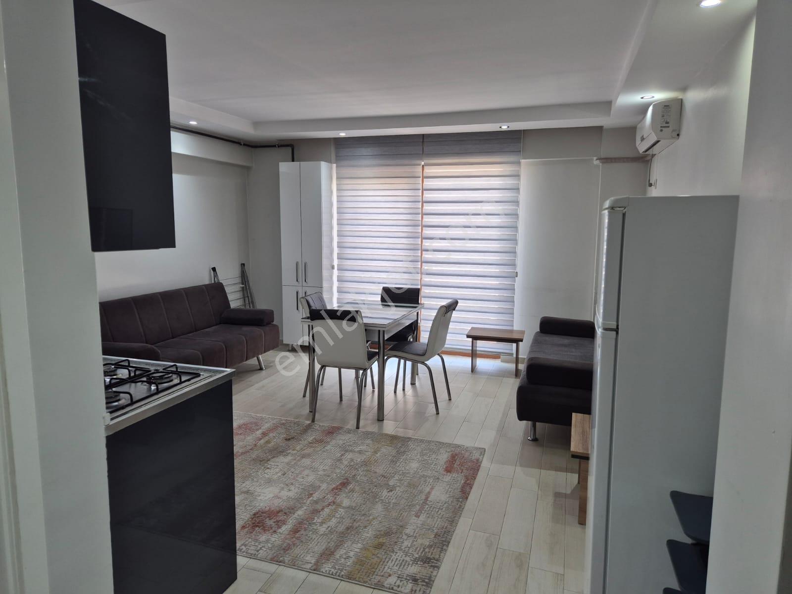 Ender Uysal Gayrimenkulden Üniversiteye Yakın 1+1 Klimalı Lüx Arakat Apart... - Görsel 4