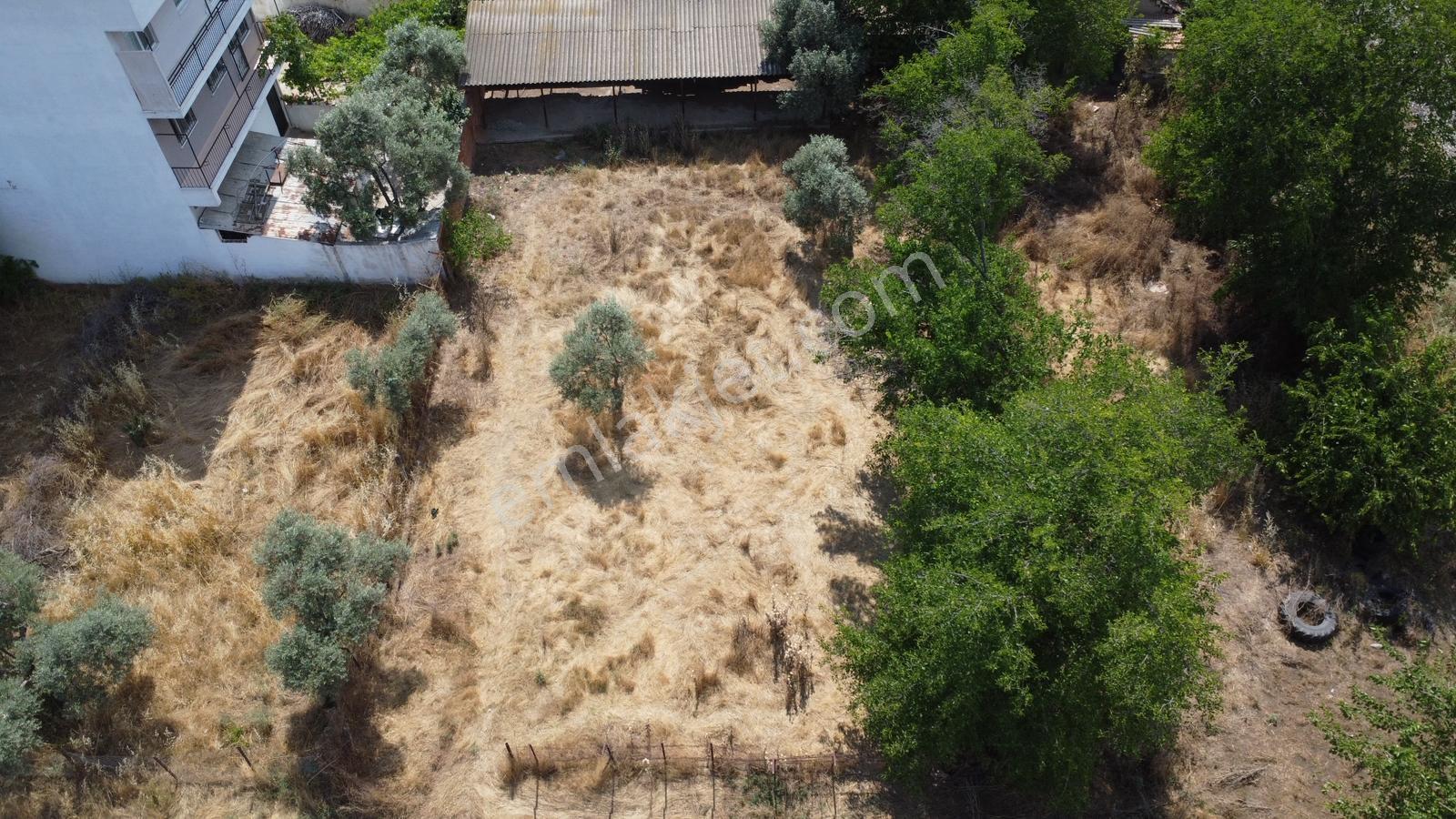Aydın Efelerde Kaçmaz Fırsat 25 Dairelik Arsalar - Görsel 19