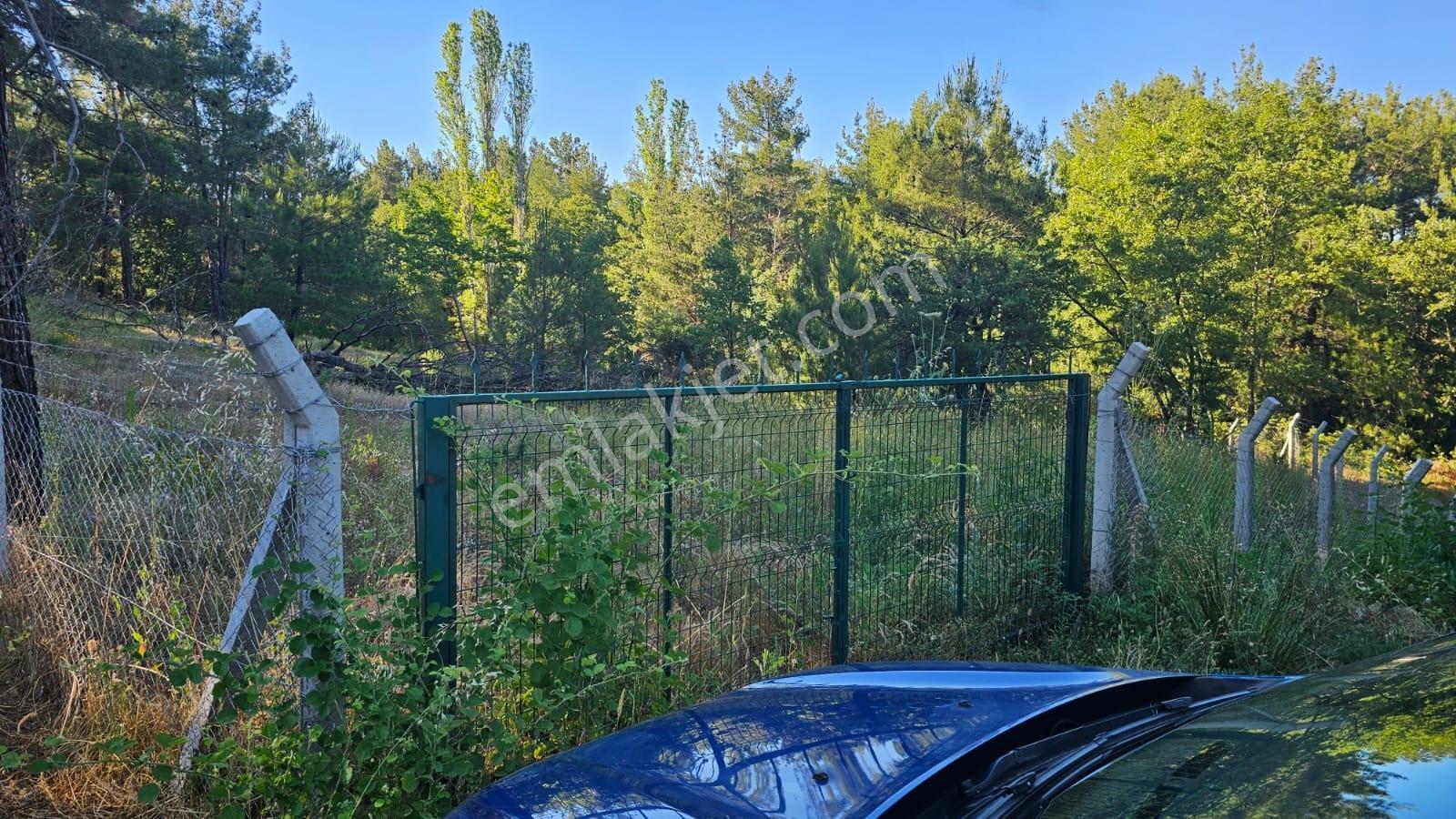 Çanakkale,bayramiç,üzümlü Köyünde Satılık Tarla - Görsel 15
