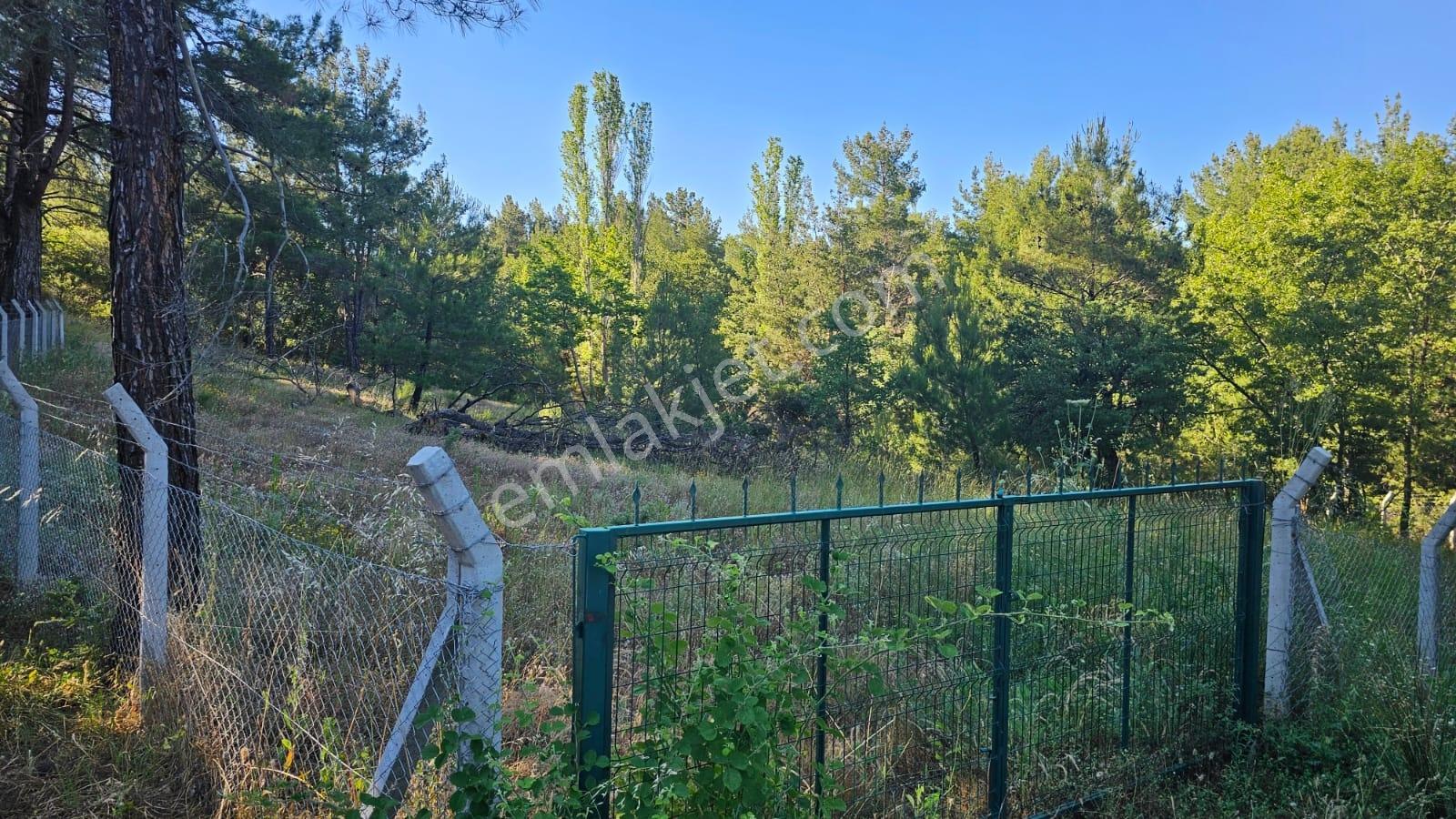 Çanakkale,bayramiç,üzümlü Köyünde Satılık Tarla - Görsel 4