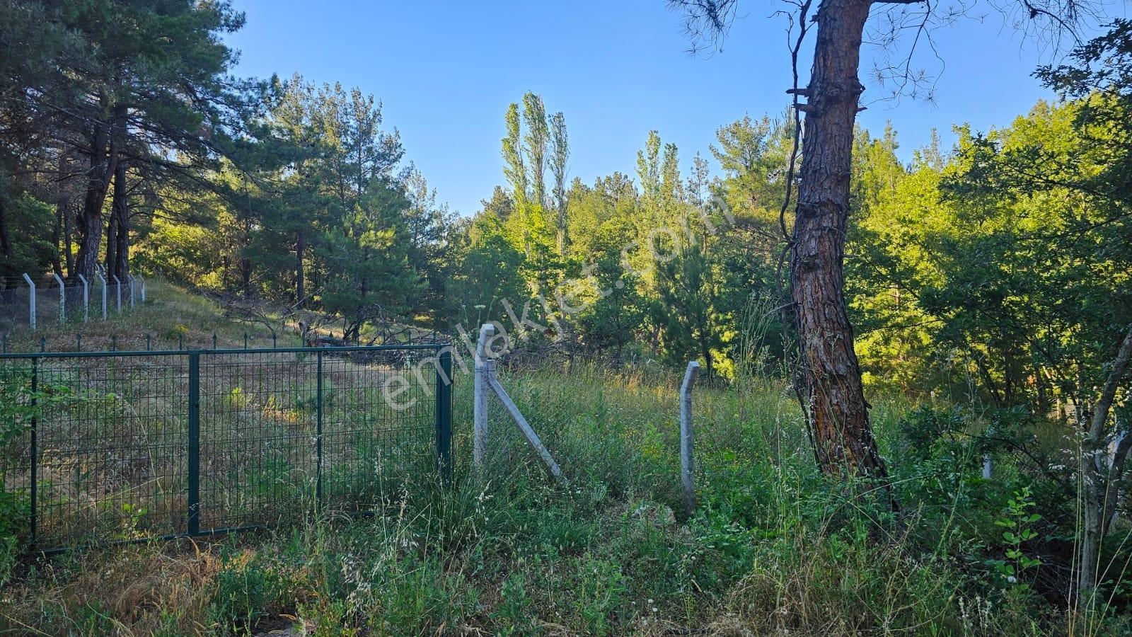 Çanakkale,bayramiç,üzümlü Köyünde Satılık Tarla - Görsel 11
